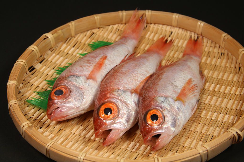 のどぐろ